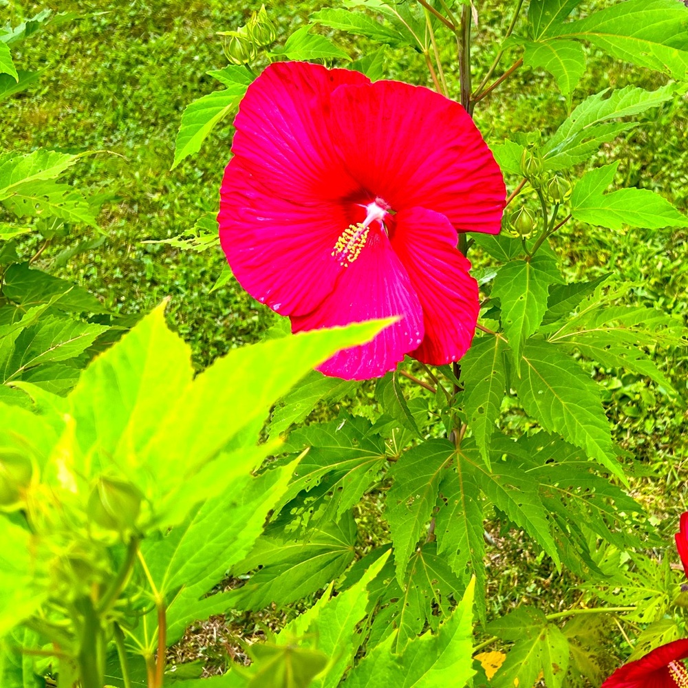 Meet your Posher, Mandy